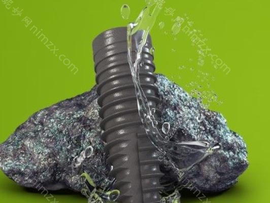士卓曼有这6个种植体型号：高度2.8mm和美学软组织水平1.8mm的软组织水平种植体，骨水平种植体(BL)和BLT，BLX和TLX种植体。
