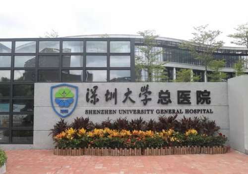 深圳哪家整形医院鼻子做的好?鼻子整形是整形外科手术中普遍的项目之一，可以缩小或者是增加鼻子的大小，能够改变鼻头或鼻梁的形状，使鼻子整体变得更加协调美观。鼻子整形项目包含了很多种，需要选择一家可靠的医院来进行面诊咨询，才能够让专业的医生确定合适的手术方法。目前就有很多深圳地区的爱美者对当地做鼻子好的整...