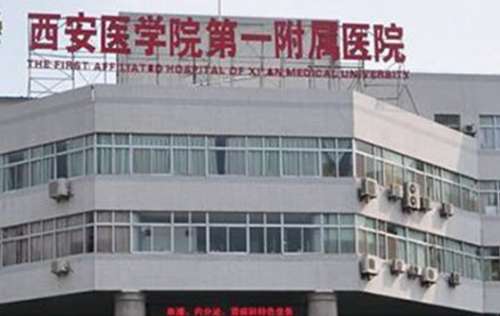 说来也是真的奇怪，咱们现在物质条件好了，吃的喝的也不错，怎么大家都会有脱发的烦恼呢?西安植发医院排名和价格是大家常常搜索的，那具体是什么样呢?我们一起来了解一下吧!想要发际线更完美的，想摆脱地中海的，想要头发又密集又黑亮的，想要回到十八岁发量的，想要每天早上梳头不掉发的，想要从此不在地板上和床上，甚...
