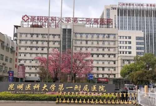 昆明作为西南地区的整形美容聚集地，有不少医疗实力强、科室设置全、技术手段成熟的隆胸机构。整理当前行业信息后，以下这十家机构在隆胸项目中表现较为突出：昆明医大一附院、昆明医大二附院、昆明市一院、云南省三院、艺星、吴氏嘉美、铜雀台、华美美莱、韩辰以及梦想医疗美容医院。本文会从实际信息出发，对这昆明隆胸医...