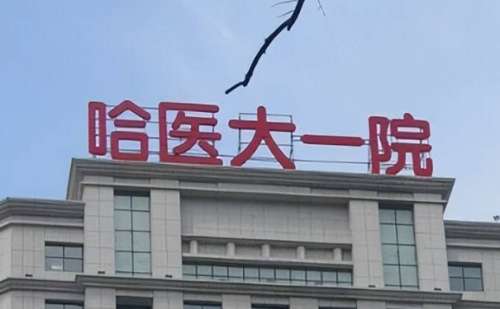 随着大家的需求不断增多，现在的整形行业发展的也是很迅速的，有有很多的人会尝试通过整形手法来改变自己的外在形象，在众多的机构当中，哈尔滨医科大学附属医院整形科能够脱颖而出，也是凭借着精湛的技术和良好的口碑，这里的祛疤项目很不错。像远健医生在这方面就比较精通，根据每个人的疤痕深浅分布制定适合的调节方案。...