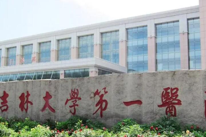 彭维海医生自体肋骨造耳手术效果怎么样？在吉林大学第一医院整形美容科，彭维海医生以其精湛的医术和丰富的经验，为众多因意外或先天原因失去耳部形态的患者带来了希望。他所擅长的自体