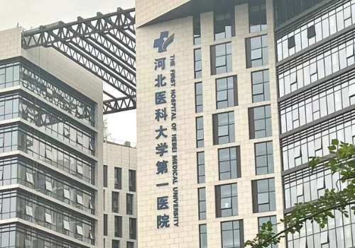 河北隆胸公立医院有哪些?红胸手术成为不少姐妹常常变美提升魅力的秘密武器，河北作为医疗资源比较丰富的城市，有不少公立医院，在隆胸方面相当专业，口碑也一直很不错，像河北医科大学第一医院，石家庄市人民医院等这些医院都有着很厉害的医生团队和各种前沿的医疗设备，能够为爱美者提供可靠又多元化的隆胸方案。接下来就...