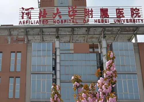 在保定这座历史文化名城，三甲医院的整形外科正以专业技术和亲民价格，为求美者打造自信与美丽。无论是重塑身材曲线还是修复创伤瘢痕，这些公立医院凭借深厚的医疗底蕴和先进的设备，成为众多爱美人士的首选。本文将带您走进保定五家公立三甲医院的整形外科，揭秘吸脂项目的价格与特色，助您做出明智选择。一、河北大学附属...