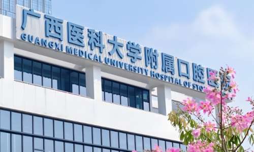 南宁颌面外科医院排名是现在许多爱牙人士关注的一个方面，大家有颌面外科诊疗需求，要选择一家技术好的医院。南宁的广西医科大学附属口腔医院口腔颌面外科、广西中医药大学附属瑞康医院口腔科、广西壮族自治区人民医院口腔颌面外科、广西中医药大学第一附属医院口腔科、南宁市第一人民医院口腔科等医院科室有过硬的技术，能...