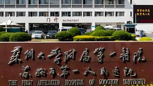 苏州全国内推的医院还是比较多的，苏州大学附属第一医院整形烧伤外科、苏州大学附属第二医院整形美容外科、苏州市立医院整形外科、昆山市第一人民医院烧伤整形外科、常熟市第一人民医院烧伤整形外科都是比较不错的。在做颧骨内推方面有专业的医师队伍，他们临床工作经验丰富，在处理手术时能够考虑到细节问题，呈现出理想效...