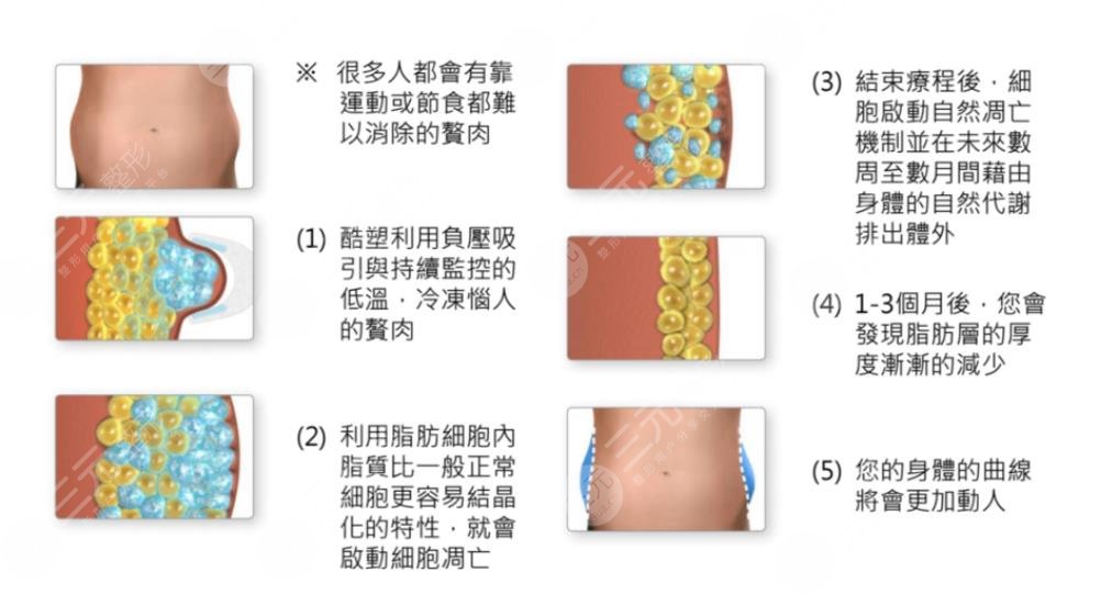 瘦肚子和腰上赘肉有效的方法有哪些？