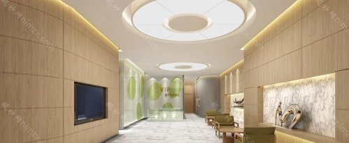 在成都这座充满活力的城市中，医美行业的发展尤为引人注目。这里不仅美食诱人，旅游景点丰富，更有着众多技艺高超的医美机构。这些医院凭借专业的技术、先进的设备以及优质的服务，赢得