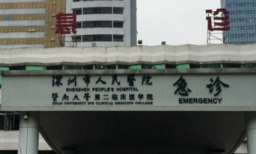 在深圳这座繁华的都市中，医疗资源的丰富与先进是市民健康的重要保障。从深圳市人民医院到华中科技大学协和深圳医院，再到宝安区人民医院、北京大学深圳医院、龙岗中心医院，每一家医院