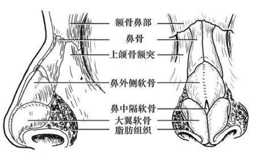 爱美之心，人皆有之。在这个追求美丽的时代，整形美容已经成为越来越多人的选择。而隆鼻手术，作为提升面部立体感的关键一环，更是备受瞩目。今天，我们就来聊聊吉大一院在隆鼻方面的那