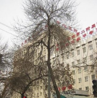 承德市单侧唇裂二期修复术价格收费表请收好-承德市单侧唇裂二期修复术要多少费用，对于承德市的求美者来说，了解承德市哪家医院做单侧唇裂二期修复术又好又便宜是非常重要的。经过多次比
