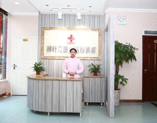 在重庆当地的一些比较有名气的整形美容医院里，隆鼻整形一直以来都是比较火爆的业务项目，毕竟对于很多的国人来说，鼻子比较扁平就使得面部不够精致，所以哪位医生在鼻部整形方面的技术比较好，是很多人比较关心的话题。丁世凯价格是多少?根据小编来了解一部整形的价格，在57430元起，不同的整形方式在价格上会有一些...