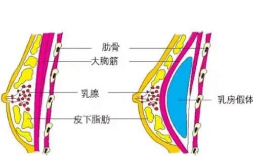 在北京有很多人气较高的整形医院，面对不同的整形医院，人们在选择的时候还是愿意选择一家各方面技术都较强的整形美容医院，比如说北京丽都医院就是不错的选择，医院在当地具有较高的名气。而且胡斌医生也受到了当地大部分的爱美人的好评，北京当地的人对北京丽都及胡斌医生还是比较认可的，为了方便一些爱美者，更加详细的...