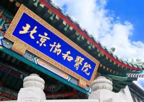 黄久佐医生曾毕业于北京协和医学院，获得了医学博士学位，然后就进入到临床工作当中，并且也获得了相关的专业技术资格证书，前往美国一所医院进修和学习过，对于各种整形美容手术项目都有自己独到的见解，尤其擅长眼部整形、微创手术注射和体型雕塑等手术项目，临床实践经验比较丰富，也有很多成功的整形手术案例。黄久佐做...