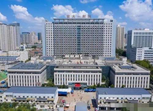 西安交通大学第一附属医院是在省内有着较高地位的省级三甲医院，所开设的临床科室当中口腔科的综合实力较强，下设有多个亚专业科，能够进行口腔正畸、口腔种植以及口腔的再次修复，对于不少爱牙人士在这里解决自己的口腔问题是一个不错的选择，科室当中的张楠医生，能够进行多学科的联合治疗，尤其是在牙齿种植方面，具备有...