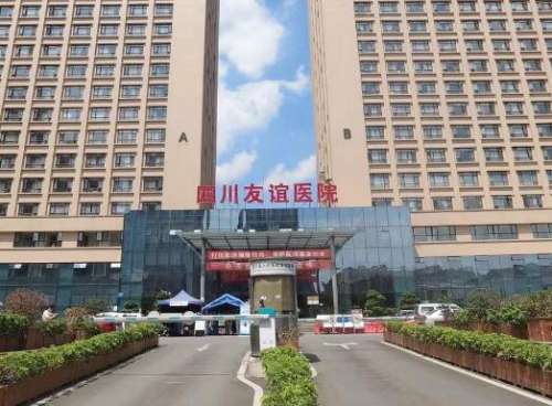 不同的医生在整形方面的技术是不太相同的，人们现在对于美丽的需求不断提高之后，如何能够收获更多的美丽需要选择对的整形医生，而大部分比较有实力的技术专家都坐诊于国内有名的医疗机构当中，比如说李从从医生是四川友谊医院整形美容科的医生，比较擅长的就是眼部和鼻部的整形。一、李从从整形技术怎么样?李从从整形技术...