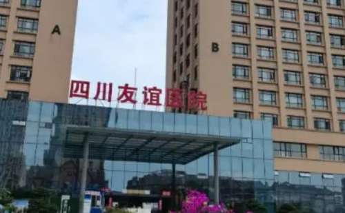 成都友谊整形医院是一家专业的整形美容机构，该医院位于成都的繁华地带，拥有一支经验丰富技术娴熟的医疗团队，采用前沿的设备和技术，可以为更多的爱美者提供高质量的整形美容服务，友谊医院以保障，有效和个性化的服务为宗旨，致力于帮助更多的爱美者实现美丽的愿望。医院的罗恩医生在整形方面也有很强的优势，尤其是在颌...