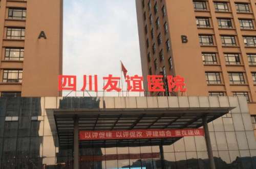 随着年龄的增长，面部皮肤就会慢慢变得松弛，会有很多皱纹的出现，对于爱美的人们来说，这些对于面部美观影响都是很大的，因此也都是不能够承受的，所以会选择除皱的方式来进行改良。成都友谊医院是一家有着很高知名度的医院，对于很多高难度，整形项目都可以进行，在除皱方面也拥有很多丰富的经验，那么对于价格很多爱美人...