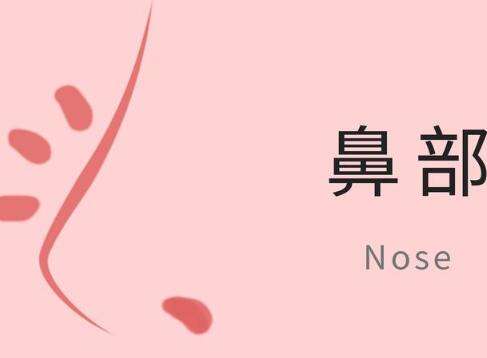 每个人的鼻子都不一样，但是拥有一个好看的鼻子，对于五官是有很大提升的，因此来说，鼻子对于样貌还是很重要的，如果说天生鼻子就长得不好看，是朝天鼻或者蒜头鼻样式的，对于颜值就会大幅度降低，为了能够将这种情况进行改变，可以选择隆鼻手术。大家在进行隆鼻手术之前，需要选择一位审美和技术都在线的整形医生，那么下...
