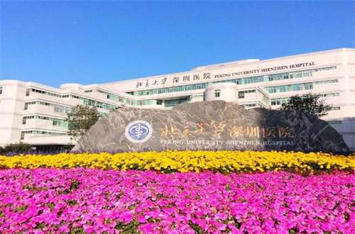 深圳北大医院种植头发多少钱?深圳北大医院不仅是一家备受瞩目的三甲综合性医院，还在整形美容领域有着卓越的表现。值得一提的是，该院的种植头发中心，凭借先进的技术和丰富的临床经验，已成为众多求美者的优选。这里将围绕深圳北大医院种植头发中心的相关细节进行解说，希望能够为考虑进行头发种植的读者提供一个良好的参...