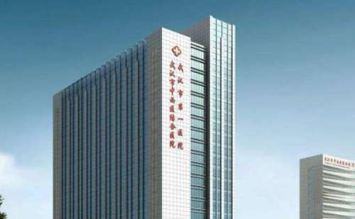 武汉市中西医结合医院杨凡方隆鼻整形技术水平比较强，她的学术基本功扎实，实践经验丰富，在微创美容方面比较有实力，通过出色的临床表现得到了很多顾客的良好反馈，在隆鼻方面也有独到之处，能够利用自己的专业帮助爱美者解决鼻子缺陷问题，打造立体美观的鼻型，帮助提升颜值和气质。一、武汉市中西医结合医院杨凡方隆鼻整...