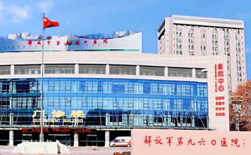 联勤保障部队第九六〇医院韩童隆鼻手术技术亮点比较出众，他擅长操作微创型手术，在实施过程中不易留下疤痕，使患者能够在短时间内恢复，韩医生不仅医学功底深厚，而且美学眼光独到，会结合顾客的方方面面进行认真分析和考量，通过独特的设计构思打造个性化的术后美感，而且实施价格公平合理，针对隆鼻手术的参考费用区间大...