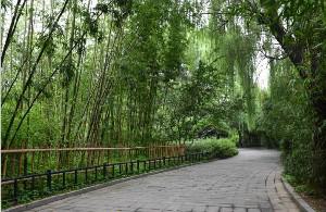 对于爱美人士来说，都更希望选择像北京，上海这样的大城市来进行整形手术，因为在这样的大城市里面拥有着更多家靠谱知名度又高的整形医院，可以提供安全的保障，但并不是所有的医院都是