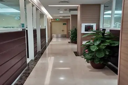 脸部提升手术是不少对自己脸部外形不满意的爱美者都想要尝试的一个项目，擅长进行这项手术的医院是有不少的，来看看中国航天科工集团七三一医院v脸整形技术特点，医院的整形科室在为爱美者进行脸部整形手术方案设计的时候，会尽量的满足爱美者的整形需求，会先了解爱美者的整形想法之后再进行手术方案的考量，做出来的脸部...