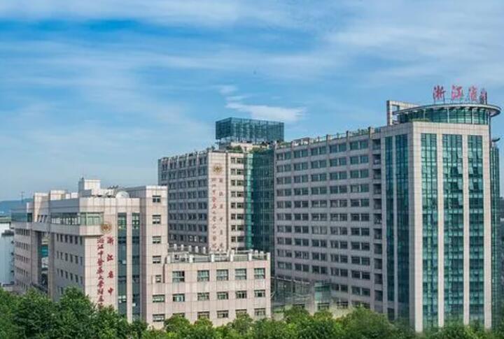 国内近几年来整形行业发展的势头犹如破竹一般，为此一些公立医院也设置了整形科。不少亲故对于公立的背景会表现出万分的信任，因而选择整形科的几率也是稍大一些。而浙江这一带自古以来