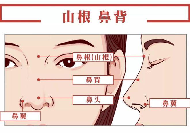 深圳宝安区人民医院整形外科鼻部整形技术怎么样？在现代审美观念中，面部轮廓的和谐与美感越来越受到重视，尤其是鼻子作为面部的中心点，其形态直接影响着整体的美感。深圳宝安区人民医