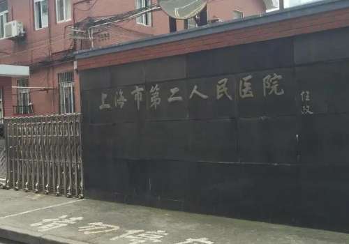 上海二院玻尿酸多少钱？低至5000元起，整形科实力在线解读！爱美者对于年轻化的状态都抵挡不住，但是随着年龄增长，面部皱纹以及凹陷问题就会显现出来，不能够展现出独特的气质魅力，而现在的玻尿酸技术可以助力各位进行面部颜值的提升，但是当下能够进行玻尿酸操作的医院有很多。其中上海二院玻尿酸技术值得信赖，多种玻尿酸材料也可供选择，下面就为大家带来上海二院玻尿酸多少钱？...