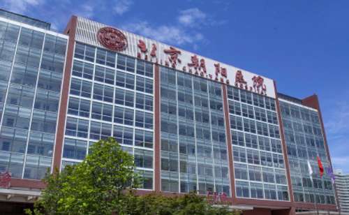 北京朝阳医院下巴整形费用在3000元起，具体的价格整形的方式有着一定的关系，下巴整形通常可以通过玻尿酸的方法进行填充，能够改良下巴凹陷的症状，玻尿酸填充之后能够让下边变得更加饱满，价格在3000元起。但是如果选择是假体填充的话，那么他的价格就会偏高一些，大概在9000元起，建议大家到医院进行咨询，当...