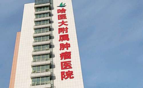 漂亮的嘴唇能够给一个人的颜值加分，但是在日常的生活中很可能会出现唇部过薄和整个人的五官不搭的情况，那么这时候大家就可以考虑通过丰唇整形的方法解决这一问题，丰唇整形难度不算太大，但是选择正规医院进行操作更为妥当一些，哈尔滨医科大学附属肿瘤医院在这方面也取得了较好的成绩，多年以来为每一位求美者做的相关手...