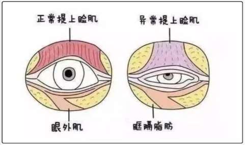 保定华美整形美容医院