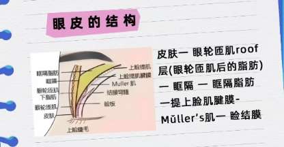 陈石海医生