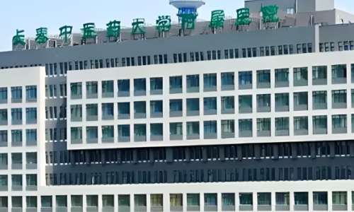 长春中医药大学附属医院