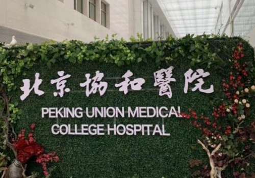 北京协和拉皮手术多少钱？北京协和医院可以做拉皮技术，价格也比较合理，通常需要20000元起，价格会出现变化，和爱美者的情况有关。但是不会有隐形消费，大家不用担心，可以在整形美容科进行。科室建立时间在1952年，不断进步，评价较高。和潮流接轨，提高综合实力，在这里就医很方便，有专业的工作人员服务，为大...