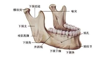 山西医科大学第二医院