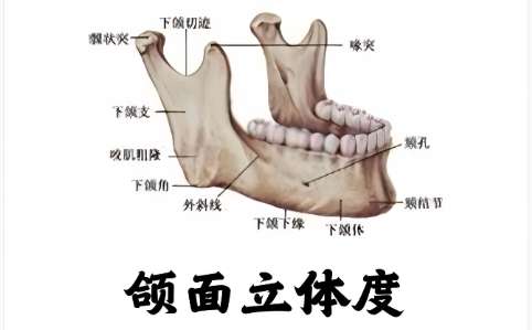 东莞市第八人民医院
