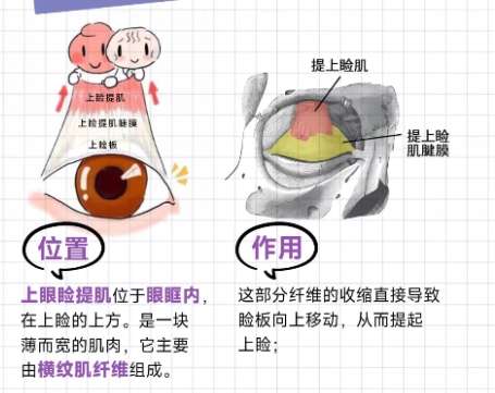 吕静瑶医生