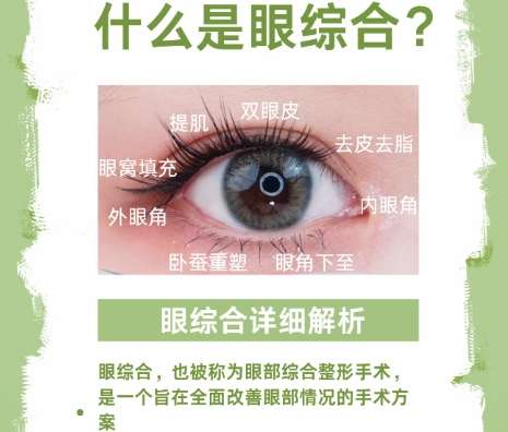双眼皮