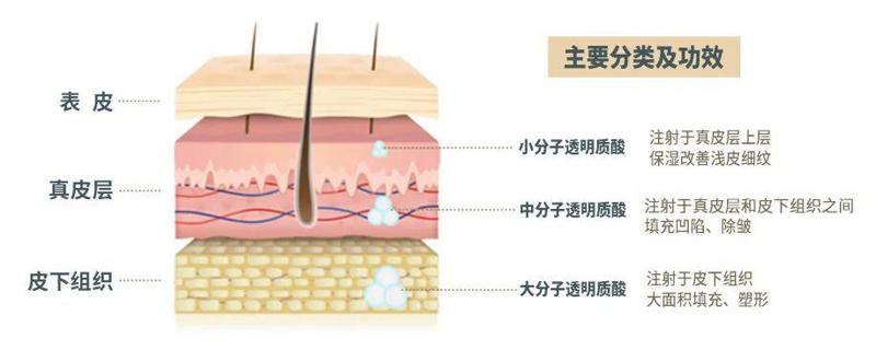 【医院介绍】 成都晶悦医疗美容于2021年04月22日正式成立，坐落于四川省成都市武侯区紫杉路13号1-3层。作为一家专注于医疗美容领域的专业机构，晶悦医疗美容自成立以来便致力于为顾客提供高