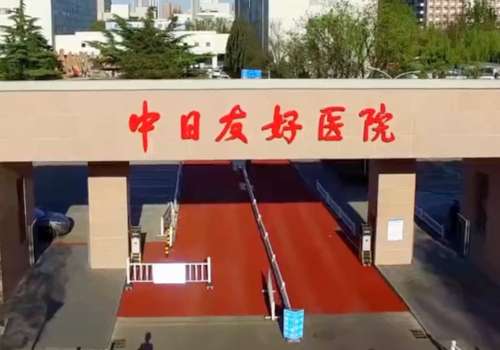 中日医院小拉皮手术费用高吗？中日医院做小拉皮手术比较好，价格收费一般需要20000元起，价格会出现变化，和每个人的皮肤松弛情况有关，操作时医生都会提前分析，提供适合方案，让大家轻松变美。科室配备多台仪器，为大家的蜕变之旅保驾护航。业务拓展多个方面，提供面部提升除皱与年轻化、眼睑整形、鼻整形、玻尿酸注...