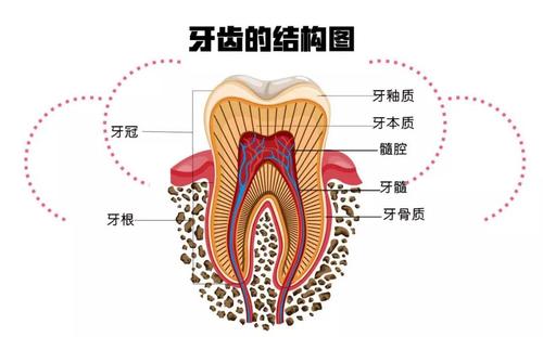 朱石江医生能否矫正突嘴？近年来，越来越多的求美者关注颌面整形手术，尤其是突嘴、地包天等问题的矫正。在众多颌面整形医生中，朱石江医生的名字频繁被提及。那么，朱石江医生能否矫正