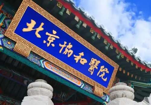 北京地区的医疗技术比较发达，有很多实力比较强，很多医院能够进行各种各样的整形手术，其中在男性私密整形中的阴茎生物补片这项技术有很多医院可以熟练的操作，其中包括了协和、北医三院等，每家医院的规模以及技术不同，能够为大家带来的结果也不一样，文章中就分析了北京阴茎生物补片医院。1、北京协和整形美容科整形美...
