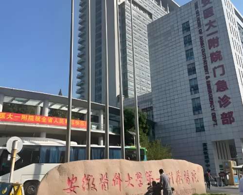 在合肥做吸脂，三甲公立医院凭借过硬的技术和安全保障，成为不少人的首选。今天就为大家介绍五家靠谱的三甲医院整形科——安徽医科大学第一附属医院整形科、安徽省立医院整形科、安徽医科大学第二附属医院整形科、合肥市第一人民医院整形科、安徽中医药大学第一附属医院整形科，看看它们的吸脂特色和优势，帮你找到适合的变...